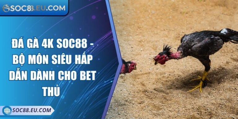 Đá Gà 4k SOC88 - Bộ Môn Siêu Hấp Dẫn Dành Cho Bet Thủ 3 Đá Gà 4k SOC88 - Bộ Môn Siêu Hấp Dẫn Dành Cho Bet Thủ