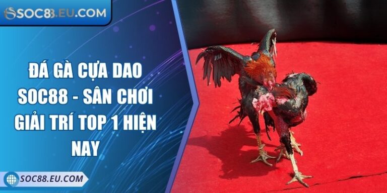 Đá Gà Cựa Dao SOC88 - Sân Chơi Giải Trí Top 1 Hiện Nay 4 Đá Gà Cựa Dao SOC88 - Sân Chơi Giải Trí Top 1 Hiện Nay