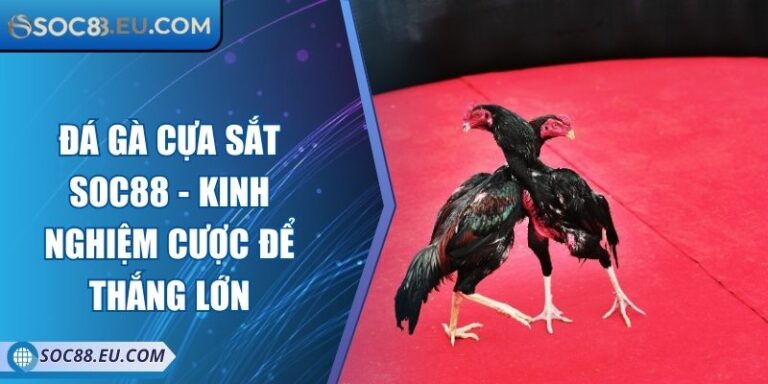 Đá Gà Cựa Sắt SOC88 - Kinh Nghiệm Cược Để Thắng Lớn 1 Đá Gà Cựa Sắt SOC88 - Kinh Nghiệm Cược Để Thắng Lớn
