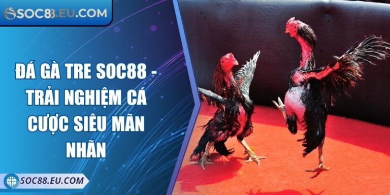 Đá Gà Tre SOC88 - Trải Nghiệm Cá Cược Siêu Mãn Nhãn 2 Đá Gà Tre SOC88 - Trải Nghiệm Cá Cược Siêu Mãn Nhãn