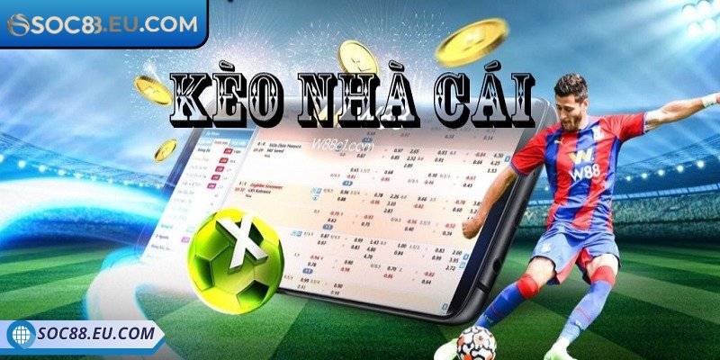 Những biến động tỷ lệ cược tại nền tảng trực tuyến