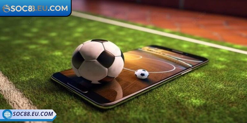 Những hình thức cá cược phổ biến hiện nay